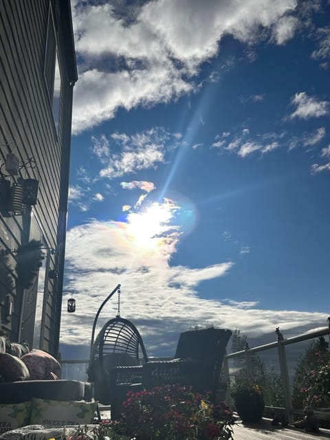 summer sunny day