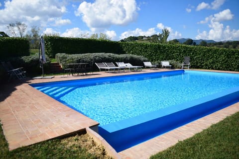 Autumn, Pool, Spring, Summer