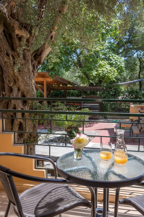 Double or Twin Room | Terrace/patio