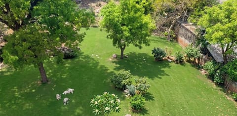 Family Quadruple Room, Garden View | Garden view