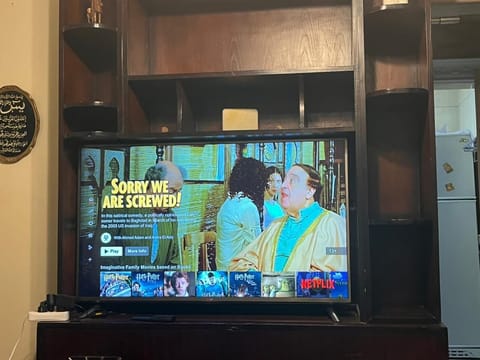 Television