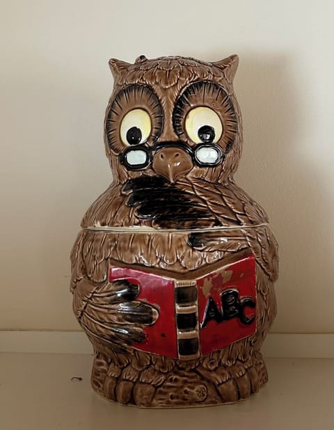 Mr. Wise Owl.