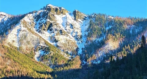"One word: Beautiful. We had such a great time here the snow, the trees, and the cabin. it was all fantastic." - Kimberly