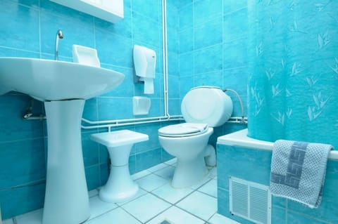 Bathtub, free toiletries, hair dryer, towels