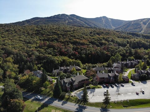 DJI_0331