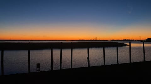 IMG_7293 - Copy