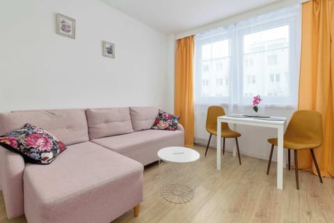 Bright studio interior with a fold-out sofa, dining table, soft textiles, and natural daylight.