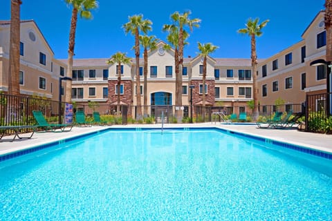 Heated outdoor pool surrounded by palm trees and lounge chairs.