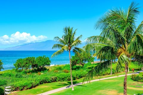 Lush green lawns, tropical palms, and endless ocean horizons create a serene, postcard-perfect Maui escape       HKH-201