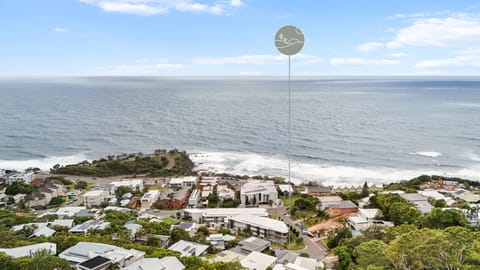 Bird`s eye view
