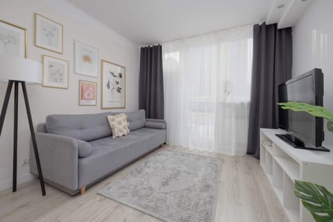 Bright living room with a fold-out sofa, soft rug, modern décor, and large window providing natural light.