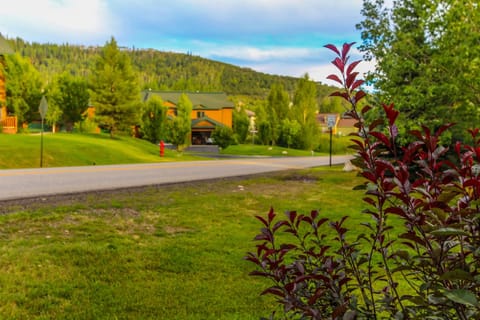 A vibrant close-up of red-leaved bushes frames a peaceful street scene lined with trees and homes.