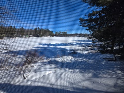 Lakeview from screened room