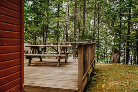 Cabin, Multiple Beds, Kitchen, Garden View (Old Stoney's Musky) | View from room