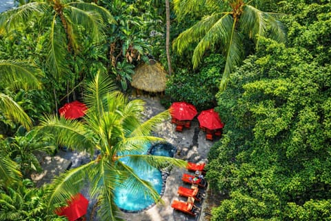 Tropical oasis in the heart of Waikiki.