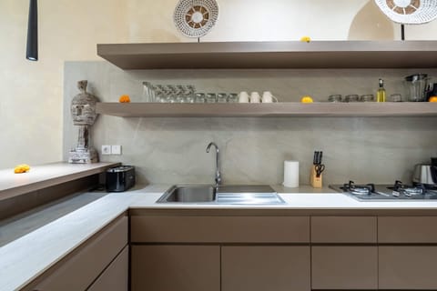 Basic Villa | Private kitchen | Fridge, microwave, oven, stovetop