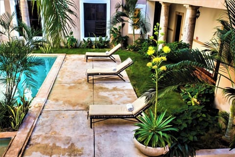 Stretch out poolside, surrounded by lush tropical garden greens.