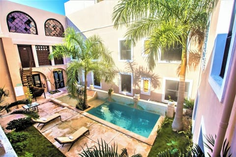 Dive into a sunlit courtyard pool framed by palms.