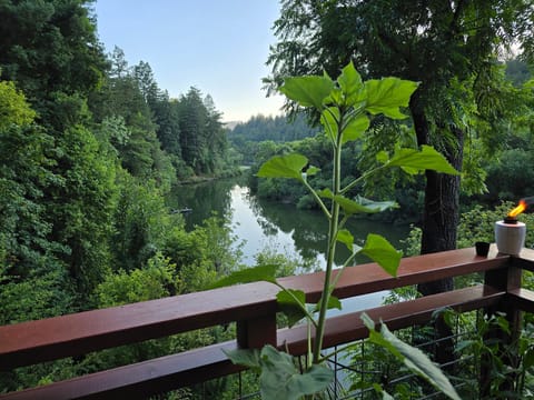 Peaceful river views stretch through the forest from your private deck, perfect for morning coffee moments.