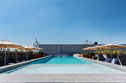 Rooftop pool on a clear CDMX afternoon