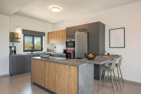 Deluxe Villa, Sea View | Private kitchen | Full-size fridge, microwave, oven, stovetop