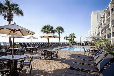 Unwind poolside under palm shade with spacious loungers.