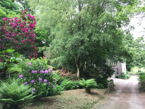 Everything is blooming!