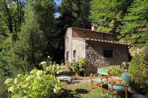 Autumn, Garden, Spring, Summer