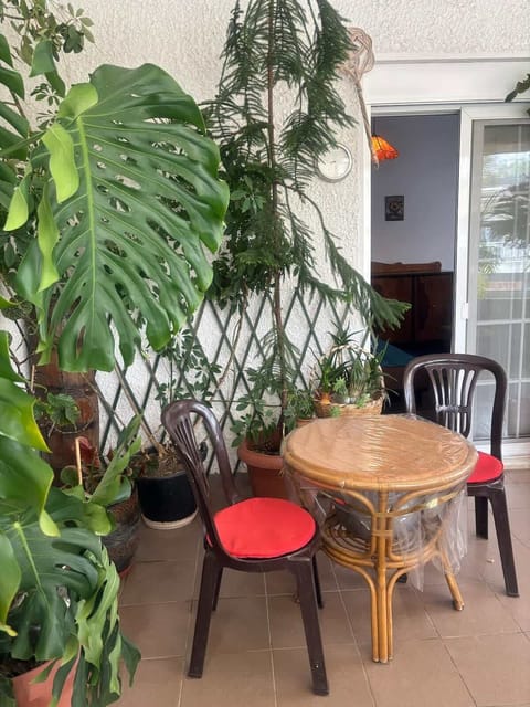 Enclosed outdoor sitting area surrounded by plants, ideal for enjoying breakfast or a drink during evenings