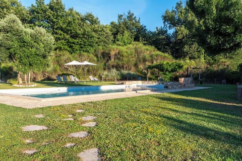 Tree, Swimming Pool, Shrub, Garden, Lawn, Shade, Landscaping, Backyard, Yard, Resort
