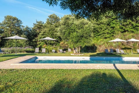 Blue, Tree, Swimming Pool, Shrub, Garden, Shade, Landscaping, Lawn, Resort, Outdoor Furniture