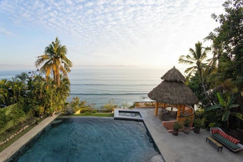 Infinity pool overlooking the ocean, surrounded by tropical palms and open skies—an ideal spot to relax and take in the view.