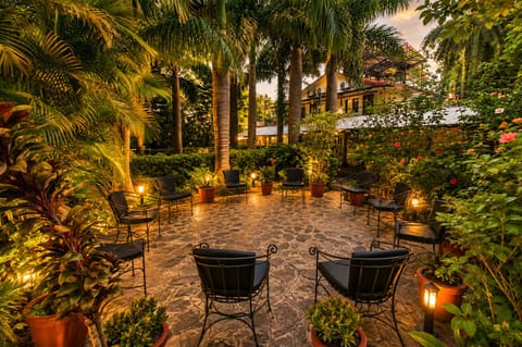 Garden view