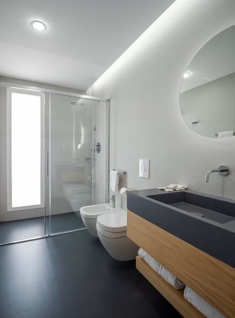 Rainfall showerhead, hair dryer, bidet, towels