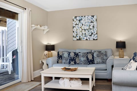 Living Room with Sleeper Sofa