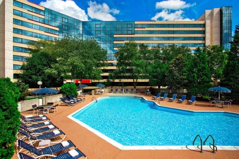 Pool with lounge chairs, trees, and tall glass building backdrop