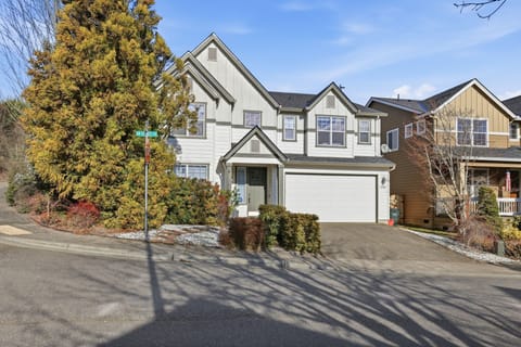 Neighborhood, Tree, Road, City, Fir