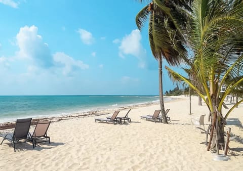 Acceso al club de playa Morena, con arena blanca, brisa marina y el sonido del Caribe: tu rincón personal junto al mar.