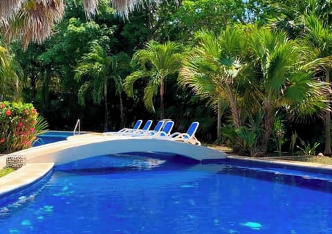 Alberca rodeada de palmeras 
Alberca amplia con puente decorativo y camastros, ideal para relajarse bajo el sol o disfrutar de una tarde en familia rodeado de vegetación tropical.