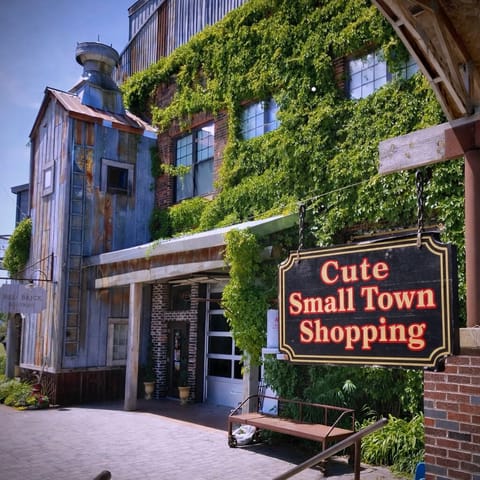 Cute Small Town Boutiques & Shopping & Coffee Shops in Perham, Ottertail