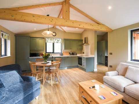 Open plan living space | Oakwood Lodge - Pen-y-Lan Lodges, Welshpool