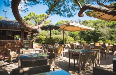 Holiday Park Facilities and Services 