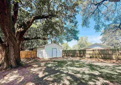 Large fenced in private back yard- Tree has been removed