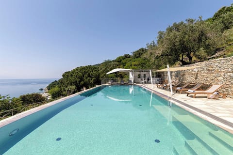 Blue House's fabulous 15m-long infinity pool.