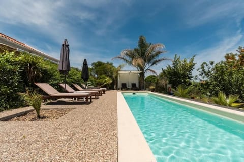 Seasonal outdoor pool, pool umbrellas, sun loungers