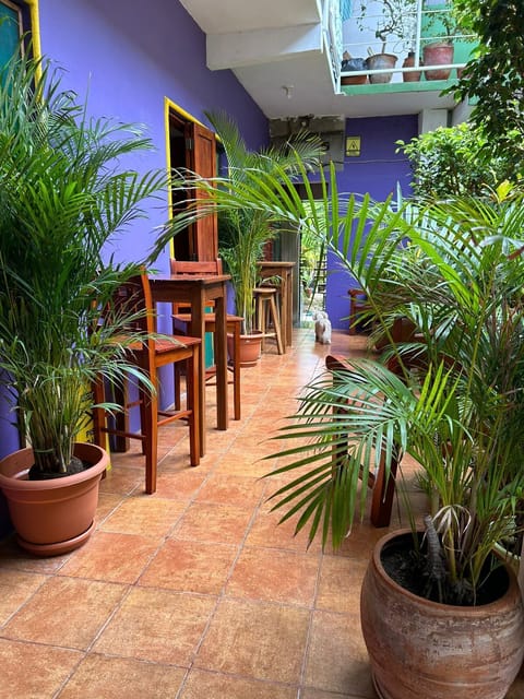 Standard Double Room | Outdoor dining