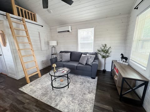 The living room with the ladder that leads to the loft with queen mattress