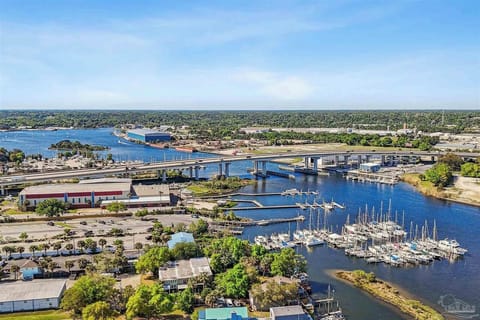 Bayou Chico