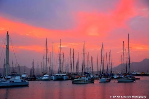 Marina