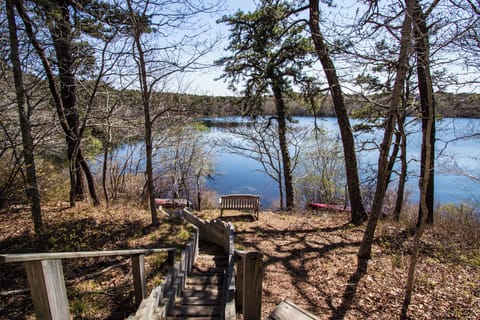 Steps to the Pond